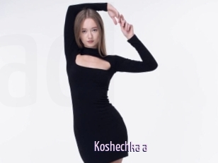 Koshechka_a