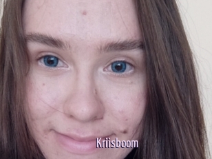 Kriisboom
