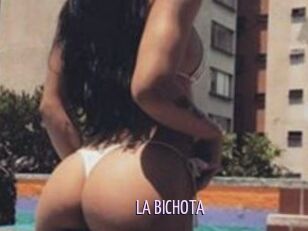LA_BICHOTA