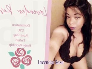 Lavender_Rose
