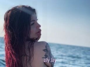 Lily_Jay