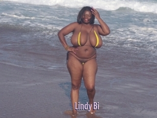 Lindy_Bi