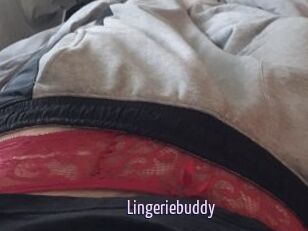 Lingeriebuddy
