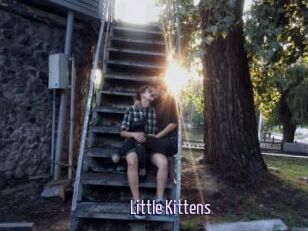 Little_Kittens