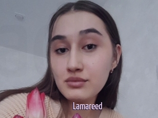 Lamareed