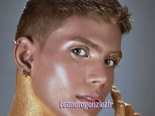 Leandrogonzlezh