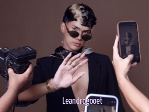 Leandrogooet