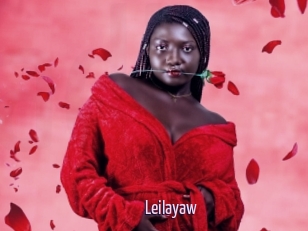 Leilayaw