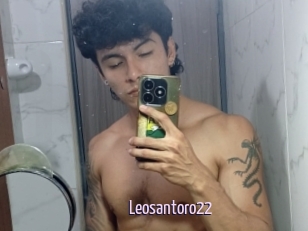 Leosantoro22