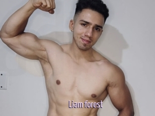 Liam_forest