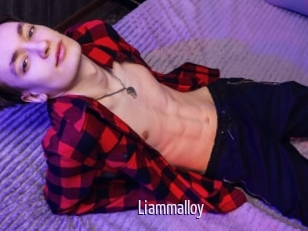 Liammalloy