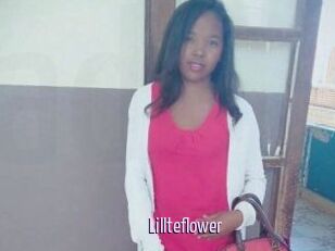 Lillteflower