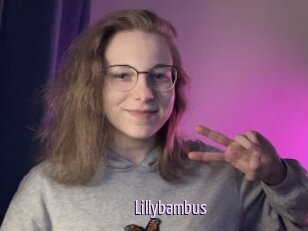 Lillybambus