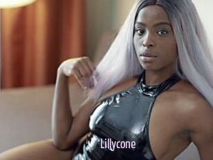 Lillycone