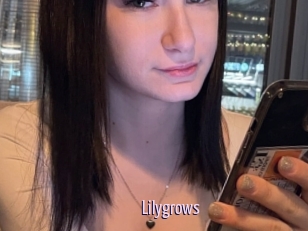 Lilygrows