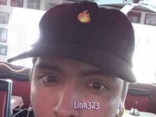 Link323