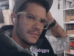 Litlebigguy