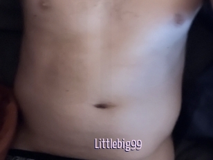 Littlebig99