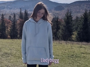 Lladybugg