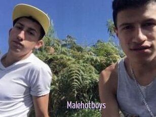 Malehotboys
