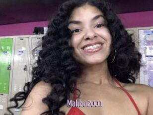 Malibu2001