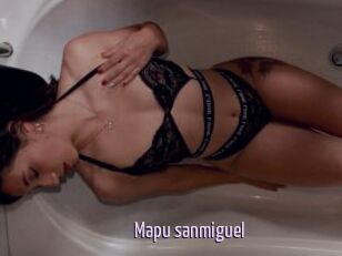 Mapu_sanmiguel