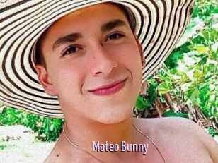 Mateo_Bunny