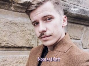 MeerkatMatt
