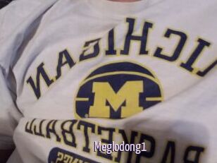 Meglodong1