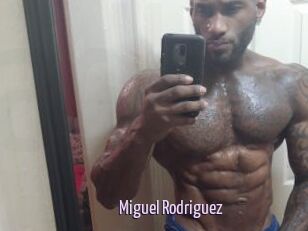 Miguel_Rodriguez