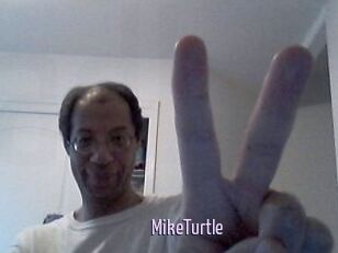 MikeTurtle