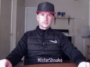 MisterShnake