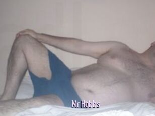 Mr_Hobbs