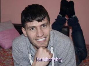 Mariohornyboy