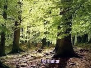 Martiaitor