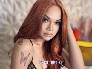 Maxinegales