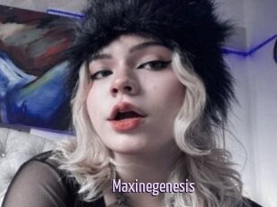 Maxinegenesis