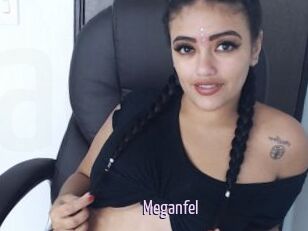 Meganfel