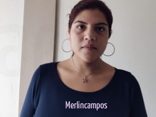Merlincampos