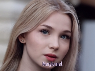 Merylarnet