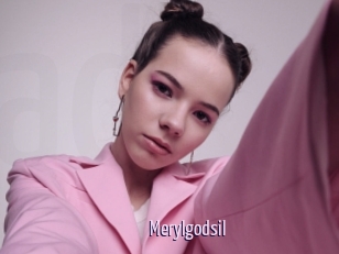 Merylgodsil