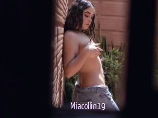 Miacollin19