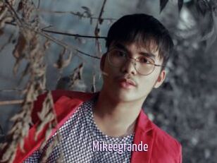 Mikeegrande