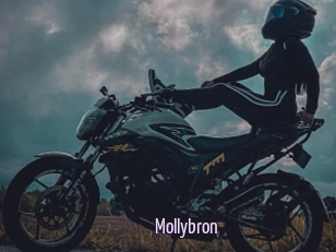 Mollybron