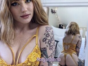 Morganallama