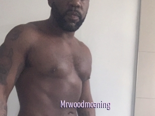 Mrwoodmoaning