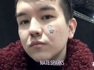 NATE_SPARKS