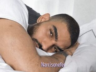 Narcisonefer