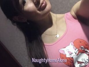 NaughtyHomeAlone
