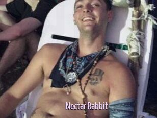 Nectar_Rabbit